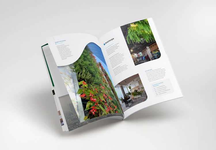 樹立品牌形象，vi品牌形象，品牌形象定位，品牌形象案例，