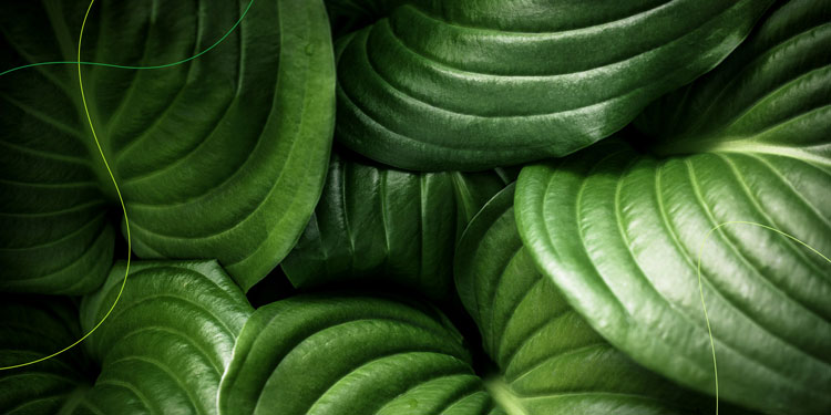 樹立品牌形象，vi品牌形象，品牌形象定位，品牌形象案例，