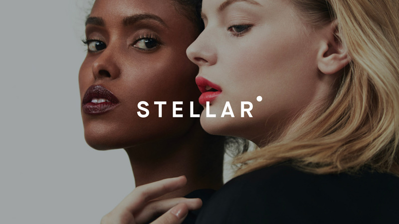 Stellar美妝公司vi品牌形象設(shè)計案例分析