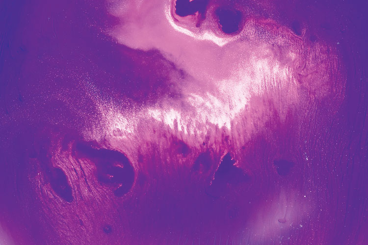 聯(lián)邦啤酒產(chǎn)品包裝設計，絢麗多彩