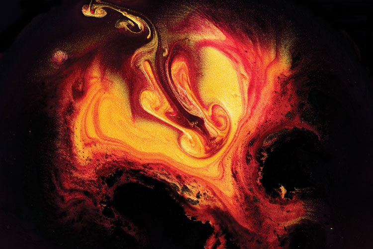 聯(lián)邦啤酒產(chǎn)品包裝設計，絢麗多彩