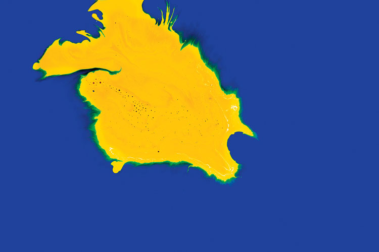 聯(lián)邦啤酒產(chǎn)品包裝設計，絢麗多彩