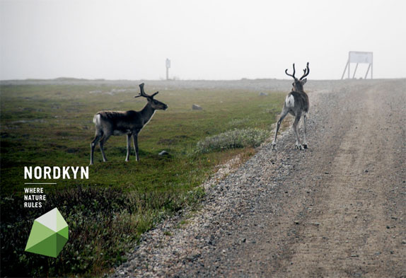 挪威Nordkyn全新旅游標(biāo)志設(shè)計